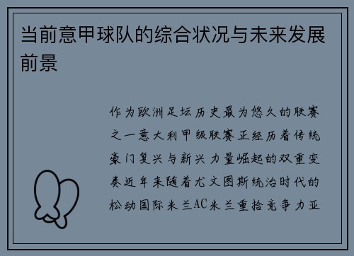 当前意甲球队的综合状况与未来发展前景