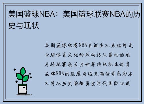美国篮球NBA：美国篮球联赛NBA的历史与现状